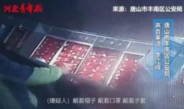 金店爆料视频大全集最新,揭秘珠宝行业背后的惊人内幕